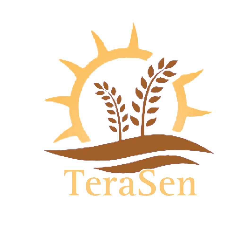TERASEN Logo